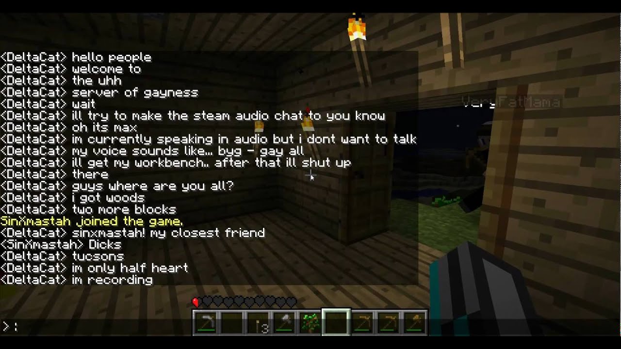 minecraft with deltacat and friends