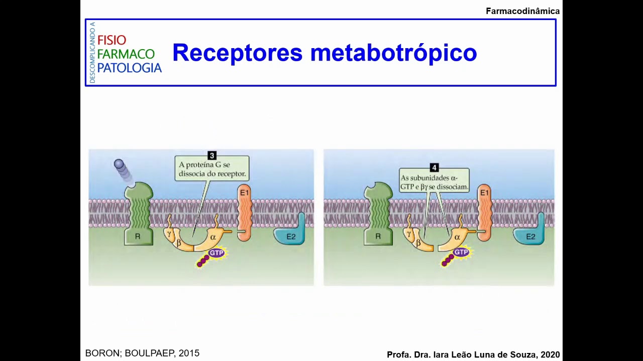 Receptores ionotrópicos e metabotrópicos (resuminho)