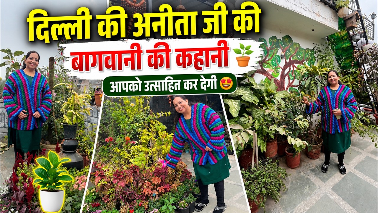 दिल्ली की अनीता जी की बागवानी की कहानी 🪴 आपको उत्साहित कर देगी 😱 Delhi Garden Tour Part-01