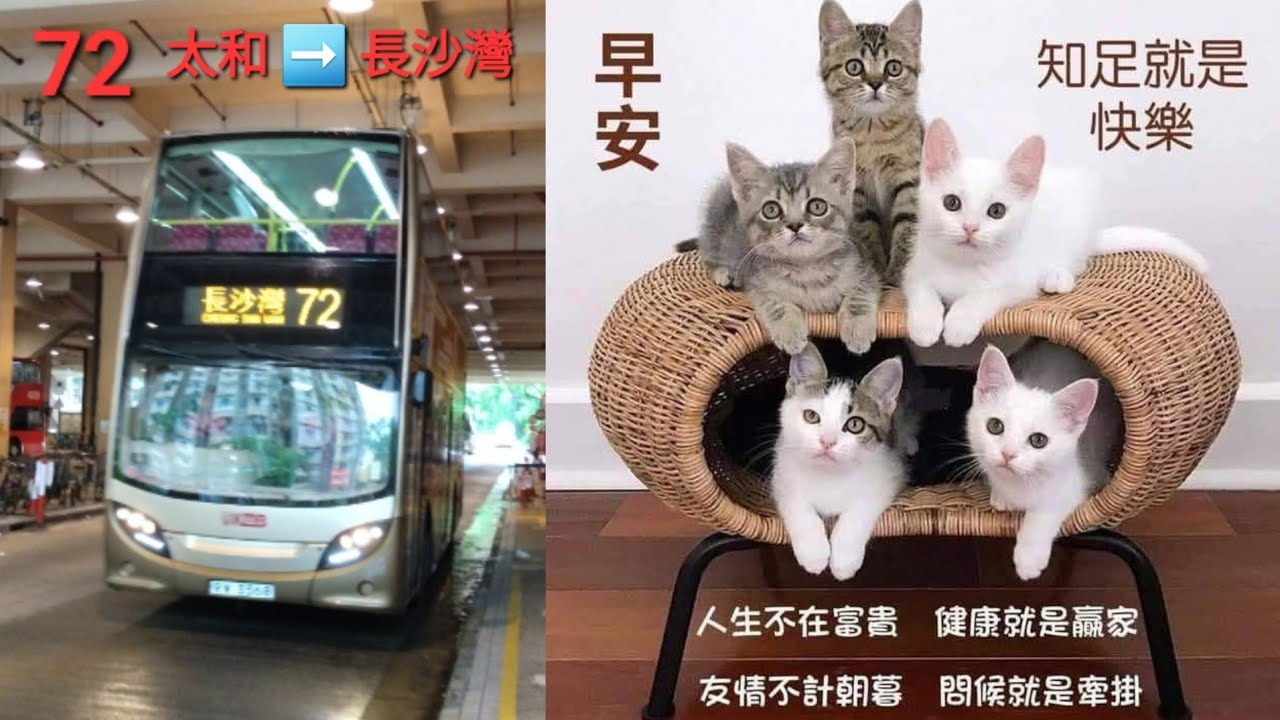 Hong Kong Bus KMB ATSE42 @ 72 九龍巴士 Alexander Dennis Envior400 太和 長沙灣
