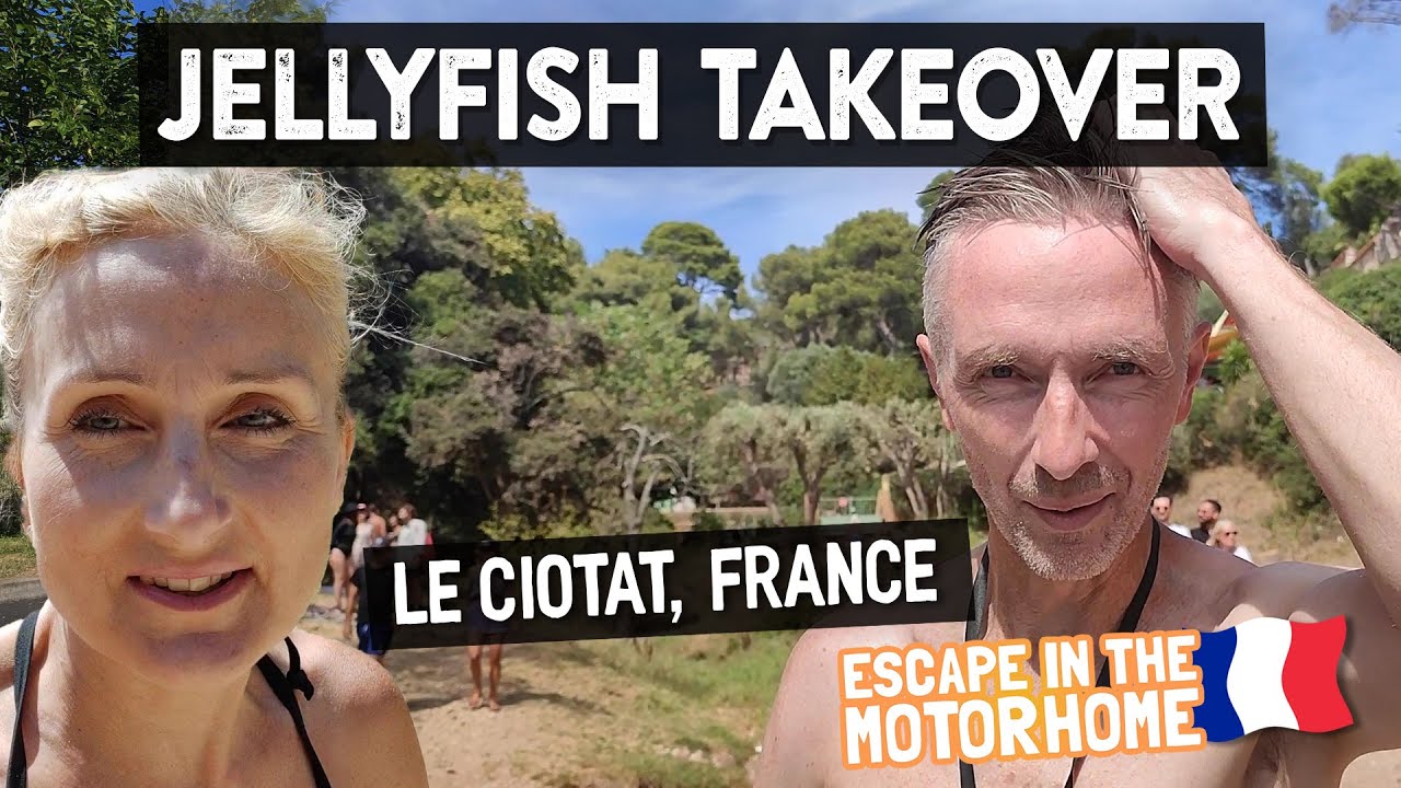 SURROUNDED BY JELLYFISH! (Vanlife - Le Ciotat + Les Calanques, France)