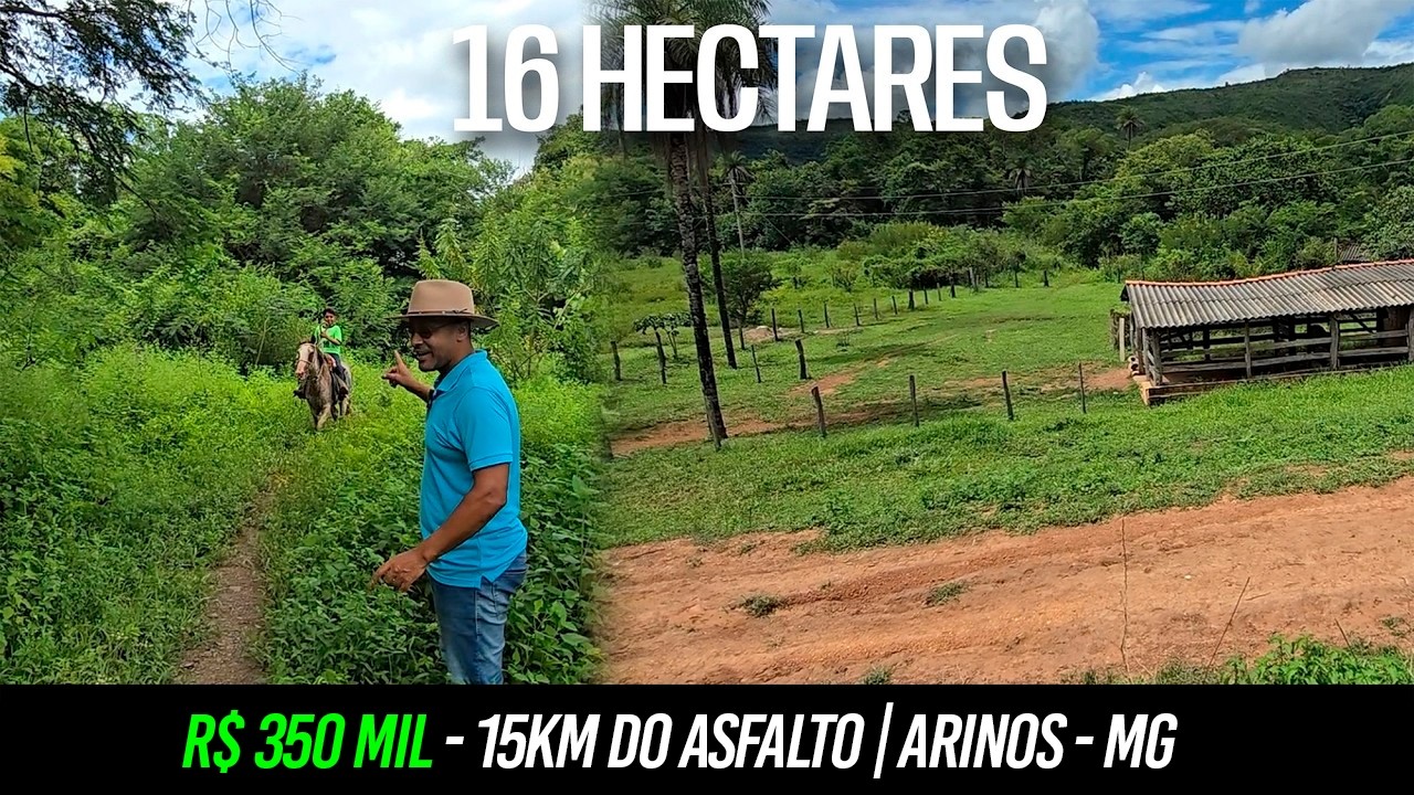 SÍTIO 16 HECTARES À BEIRA DO RIO JABUTICABA – 15 KM DO ASFALTO – ARINOS/MG – R$ 450.000,00