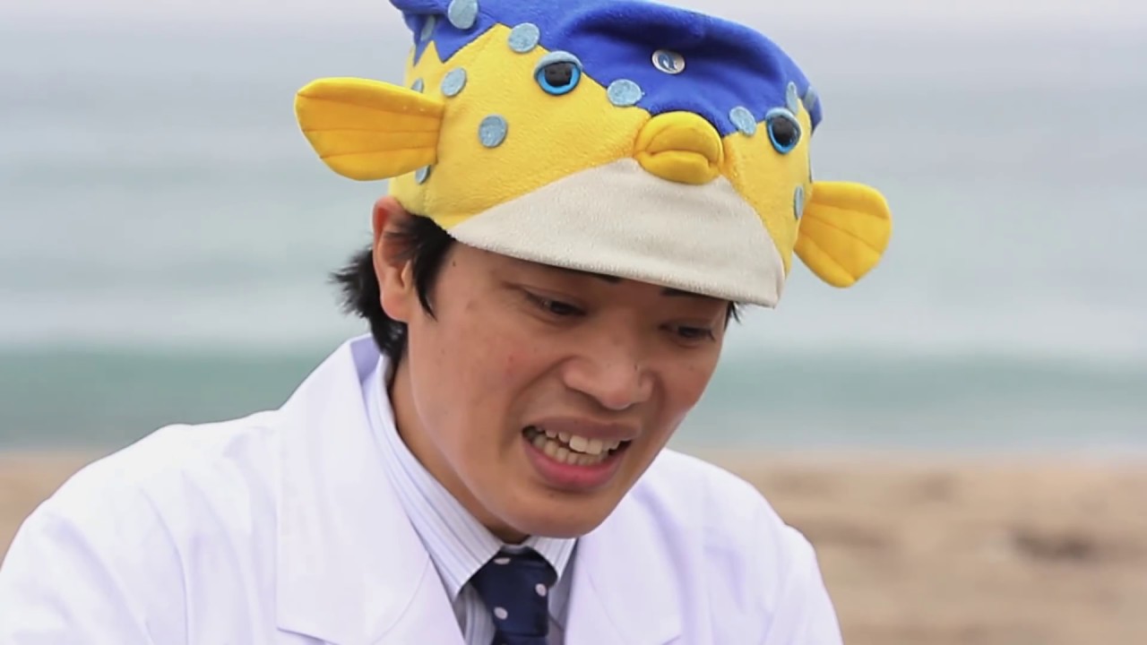 東京海洋大学Scientist Profile さかなクン