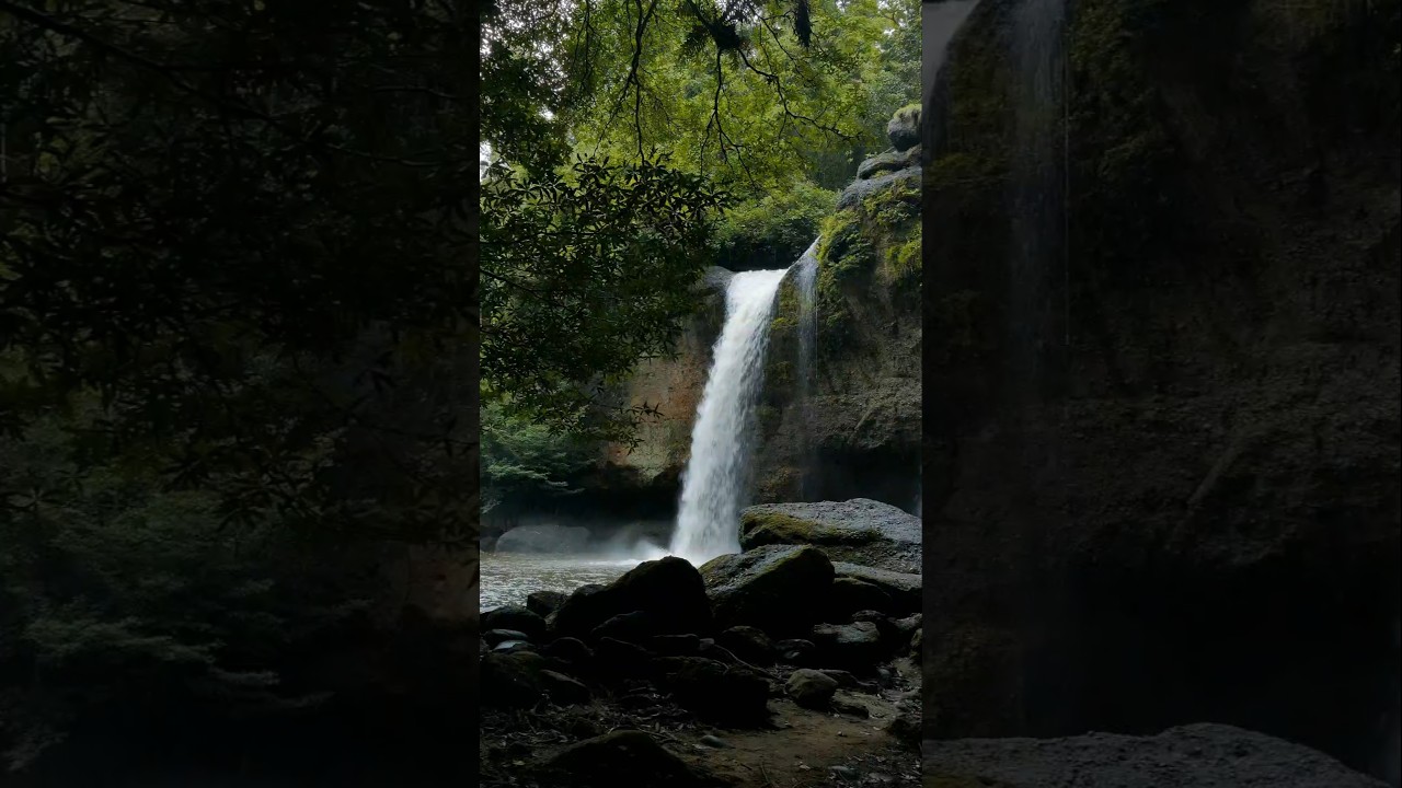 A Peaceful Nature Escape 🌱 #Nature #NatureShorts #RelaxingNature #CalmingVideos #NatureRelaxation