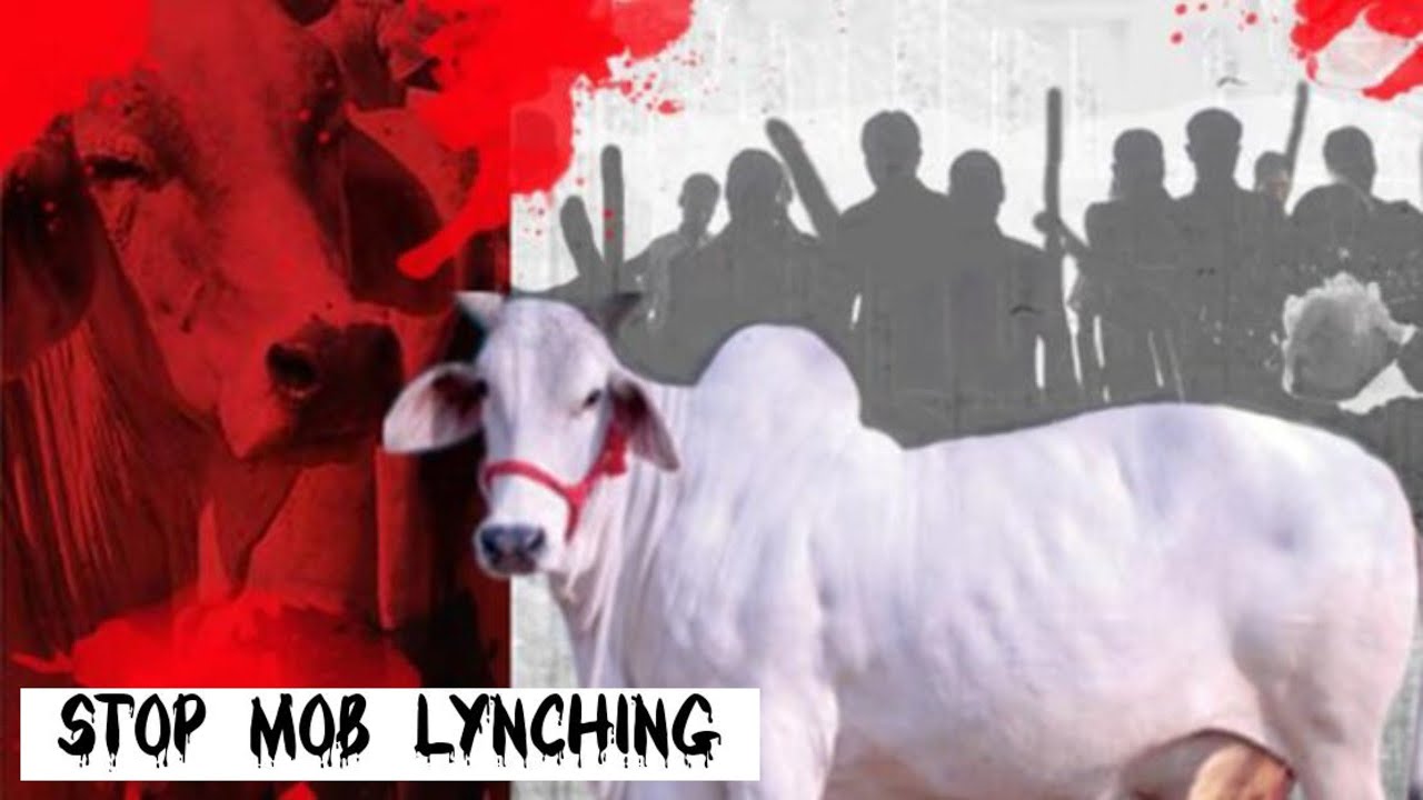 The Rise of Mob Lynching in India: An In-Depth Documentary | Insights with Osmani |#moblynch #india