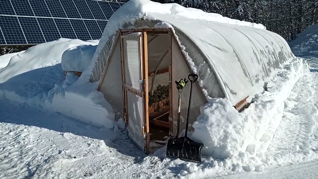 Mid Winter Greenhouse Update - "The Shorthouse"