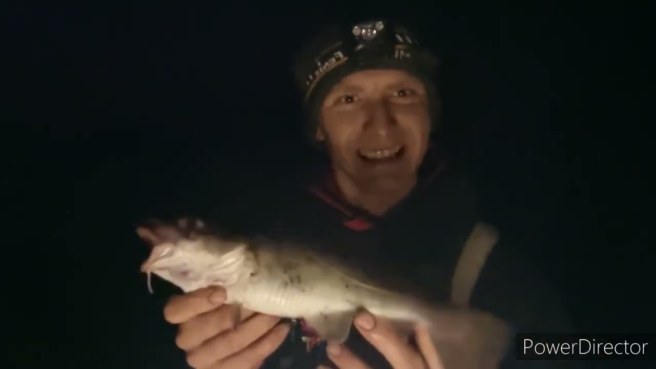 codling fishing workingtion over low water.