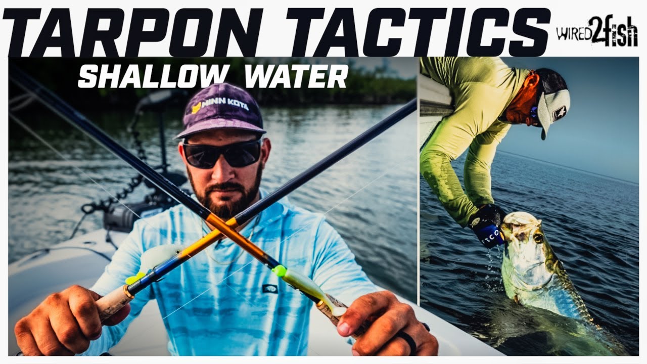 Catch More Tarpon: Expert Tips For Shallow Flat Fishing With Side Imaging And Swimbaits