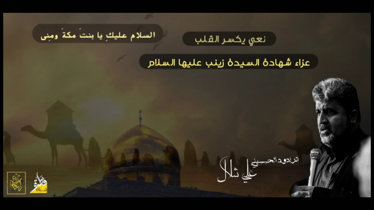 نعي يكسر القلب||الرادود علي شلال||شهادة السيدة زينب عليها السلام