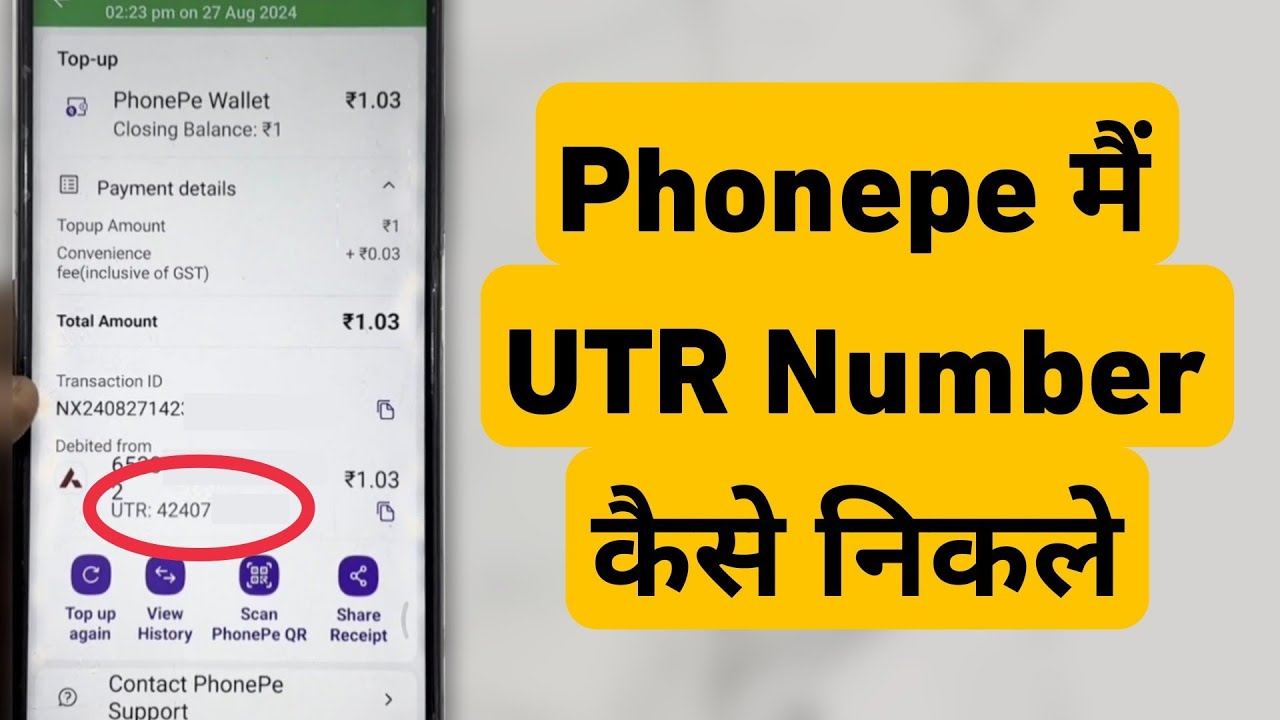 How To Check UTR Number In PhonePe | PhonePe Me UTR Number Kaise Nikale