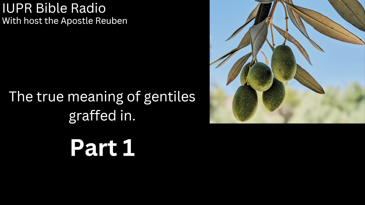 The true meaning of gentiles grafted in (Part 1)