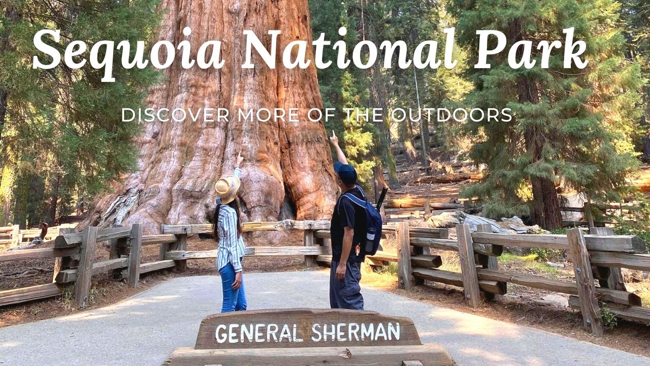 Sequoia & Kings Canyon National Park | General Grant Tree | General Sherman Tree | Part IIIដើមឈើយក្ស