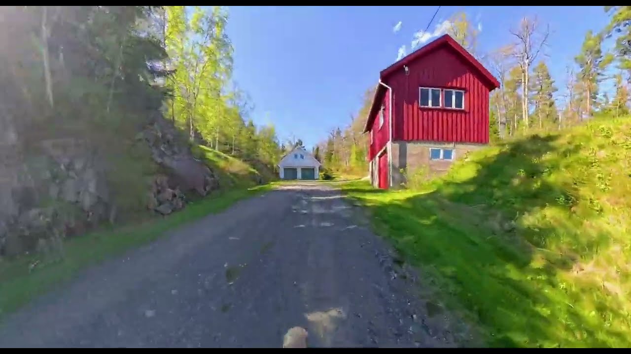 Indoor Cycling - Speed over Sunlit Roads Norway