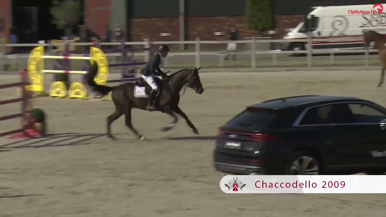 Chaccodello