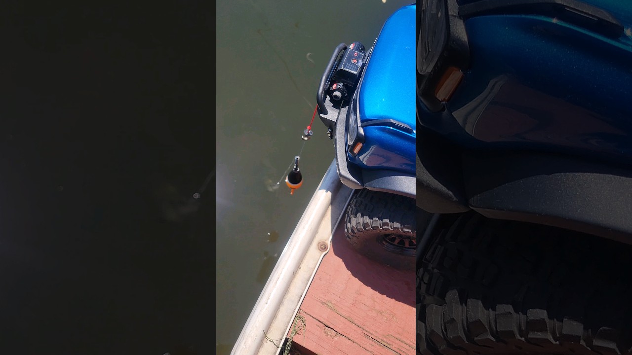 Catching fish.  #fishing #traxxas #trx4 #shorts #rctruck #sundayvibe #rctoys #fishingtime #rc