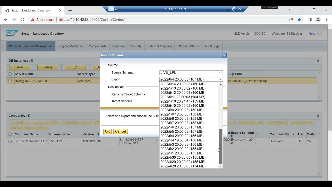 !T - How To Create Clone for testing in SAP B1