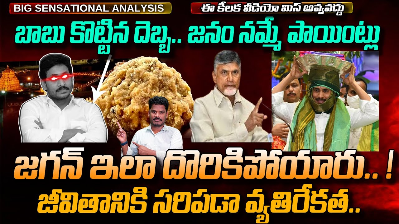 Tirumala Laddu YSRCP: జగన్ దొరికిపోయారు, బాబు గట్టిగా కొట్టినా దెబ్బ | చాలా పాయింట్స్ కీలకం | AP 175