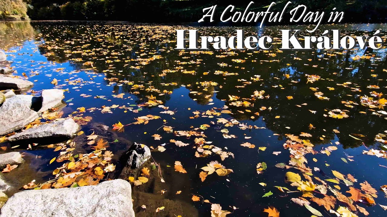 City of Queens | Nature Escape, City Walk, Streets and Cafes | Hradec Králové