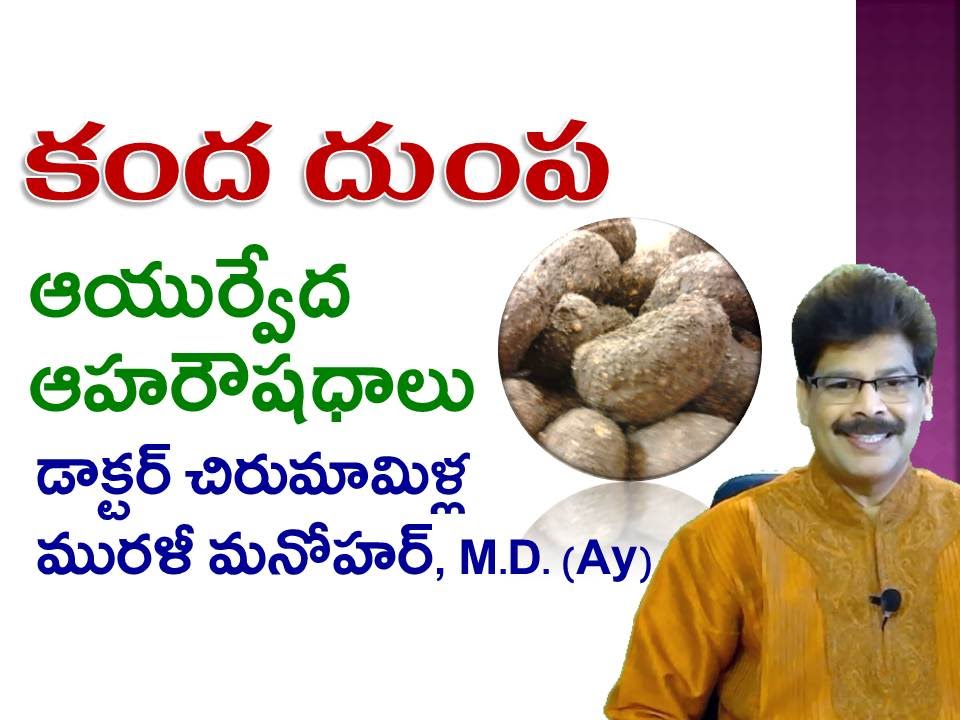 Kanda Dumpa | కంద దుంప | Facts & Health Benefits | Telugu | Dr. Murali Manohar, M.D. (Ayurveda)