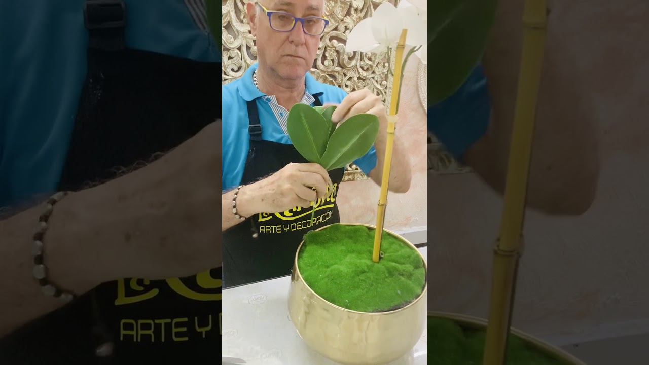 Tutorial de Elaboración de Centro de Mesa con Orquídeas