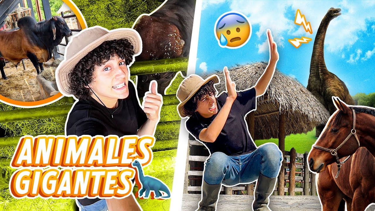 ¡ANIMALES GRANDES! 😱 | La Granja del Borrego