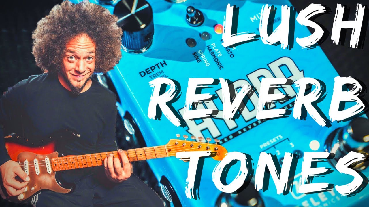 Keeley Hydra | Get Lost In The Stereo Tones