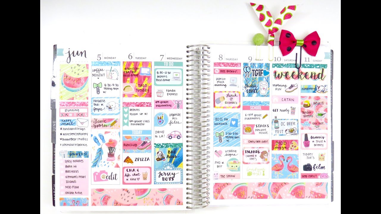 Plan with Me: Ft. Sticker Guru