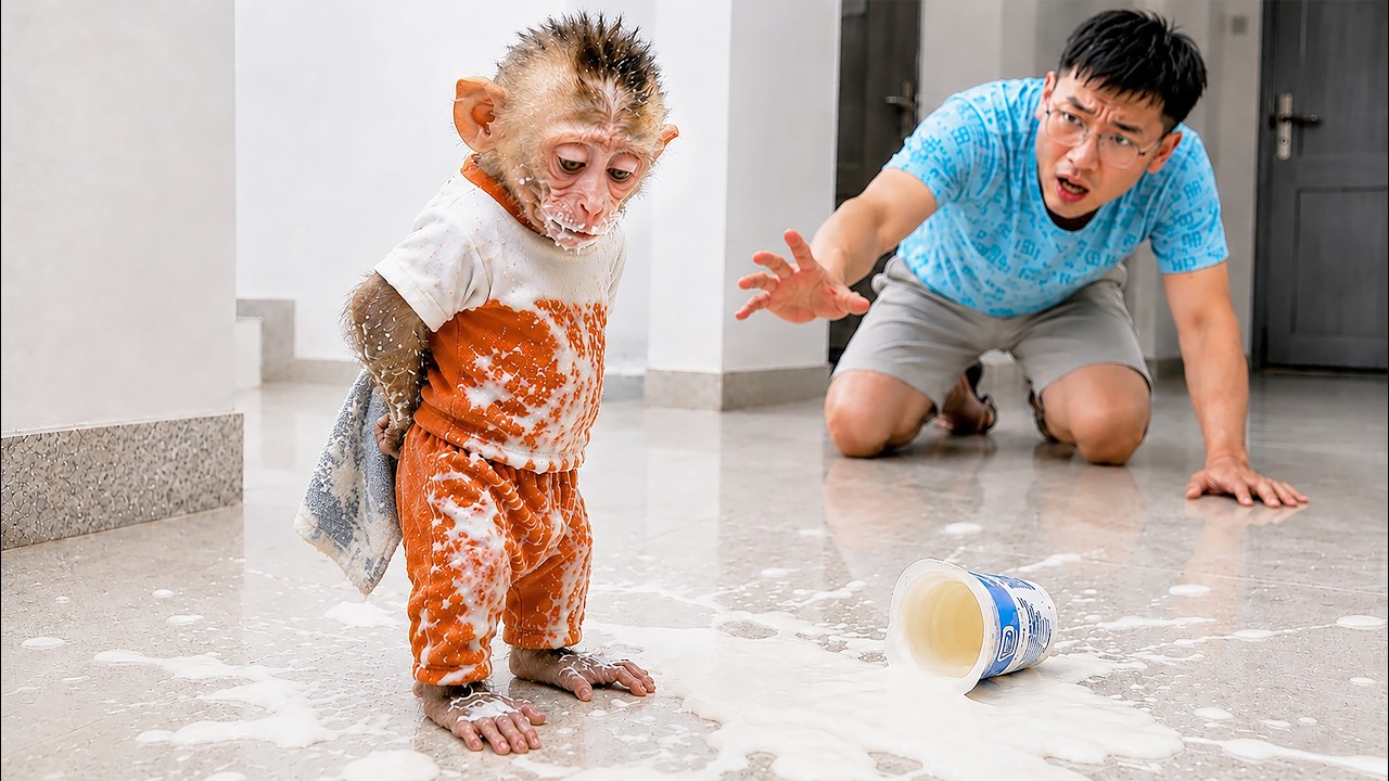 Tiny Baby Monkey Tries to Hide His Mistake&mdash;But Dad Finds Out 😰❤️