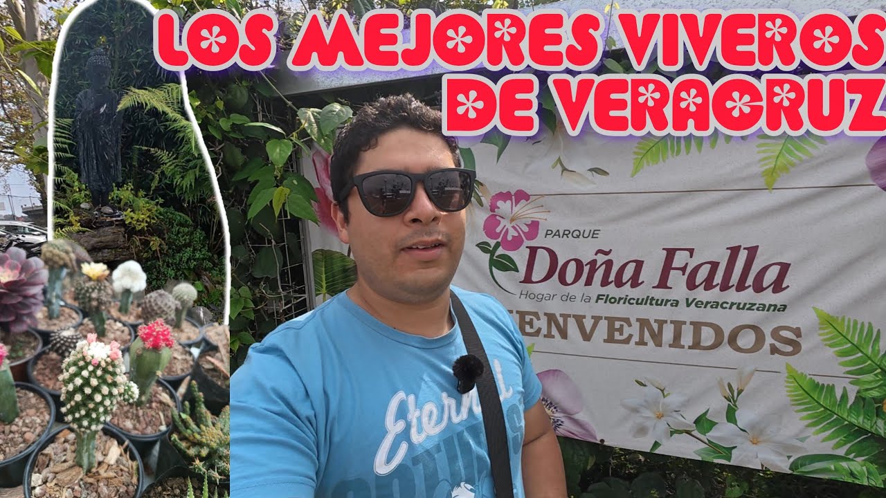 LAS MEJORES VARIEDADES DE PLANTAS DE VERACRUZ | Jardín Botánico doña Falla