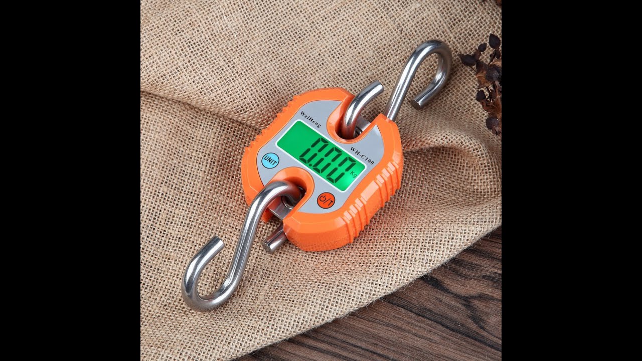 WH-C100 150KG Portable Hand Weighing Digital Crane Scale