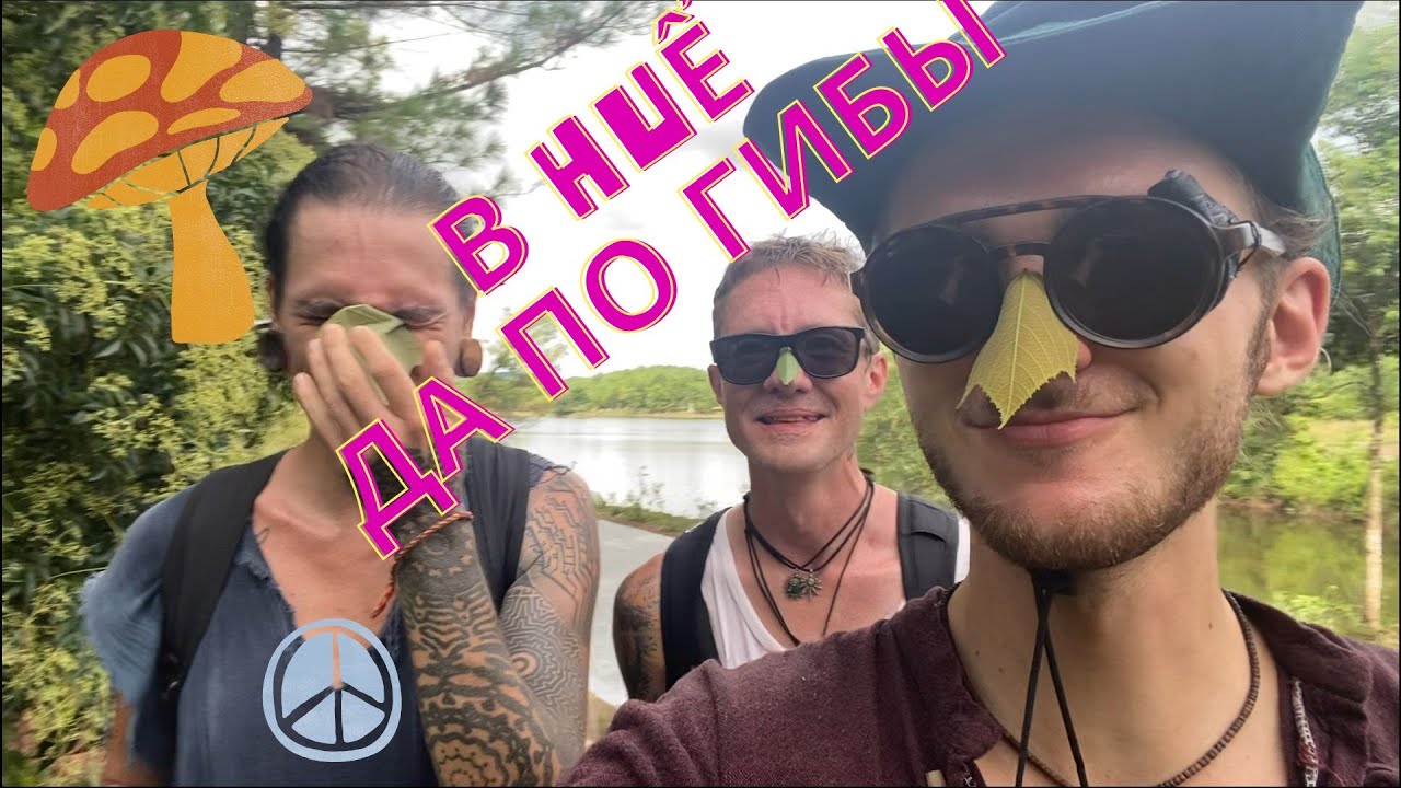 Забрались в заброшенный аквапарк города Хюе открываем новые виды грибов (часть 2.)