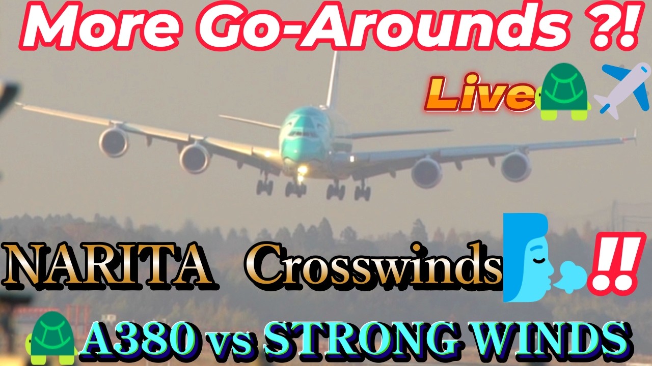 【2026/02/26❶】強風🌀横風🍃日‼️ゴーアラウンド🛬🛫多発か⁉️【成田空港📸Live🐢✈️Narita 🇯🇵 airport Live📸】airplane spots【成田空港✈️本生📸中継】