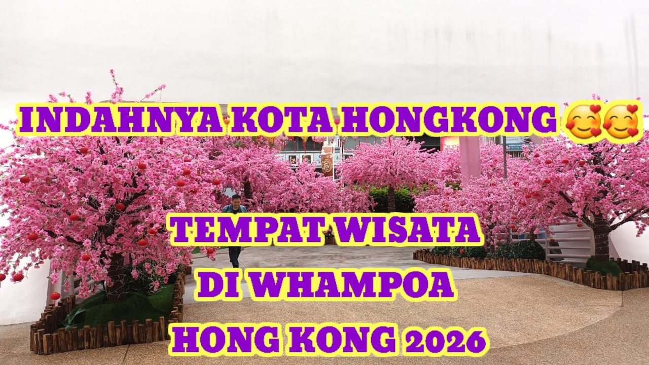 🔴 INDAHNYA KOTA HONGKONG || TEMPAT WISATA DI WHAMPOA HONGKONG