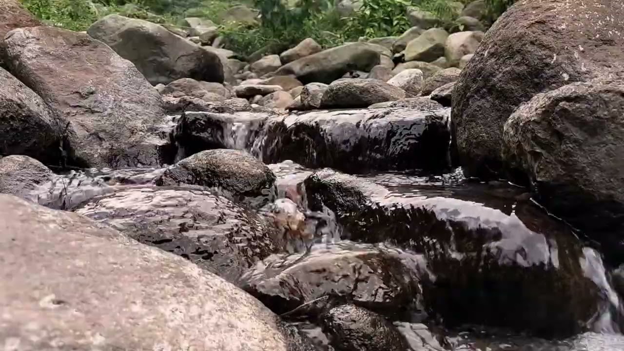Gentle River Flow for Bedtime Relaxation
