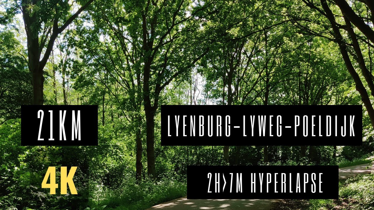 Cycling in Netherlands  POV 4KUHD  Hyperlapse Lyenburg - Poeldijk