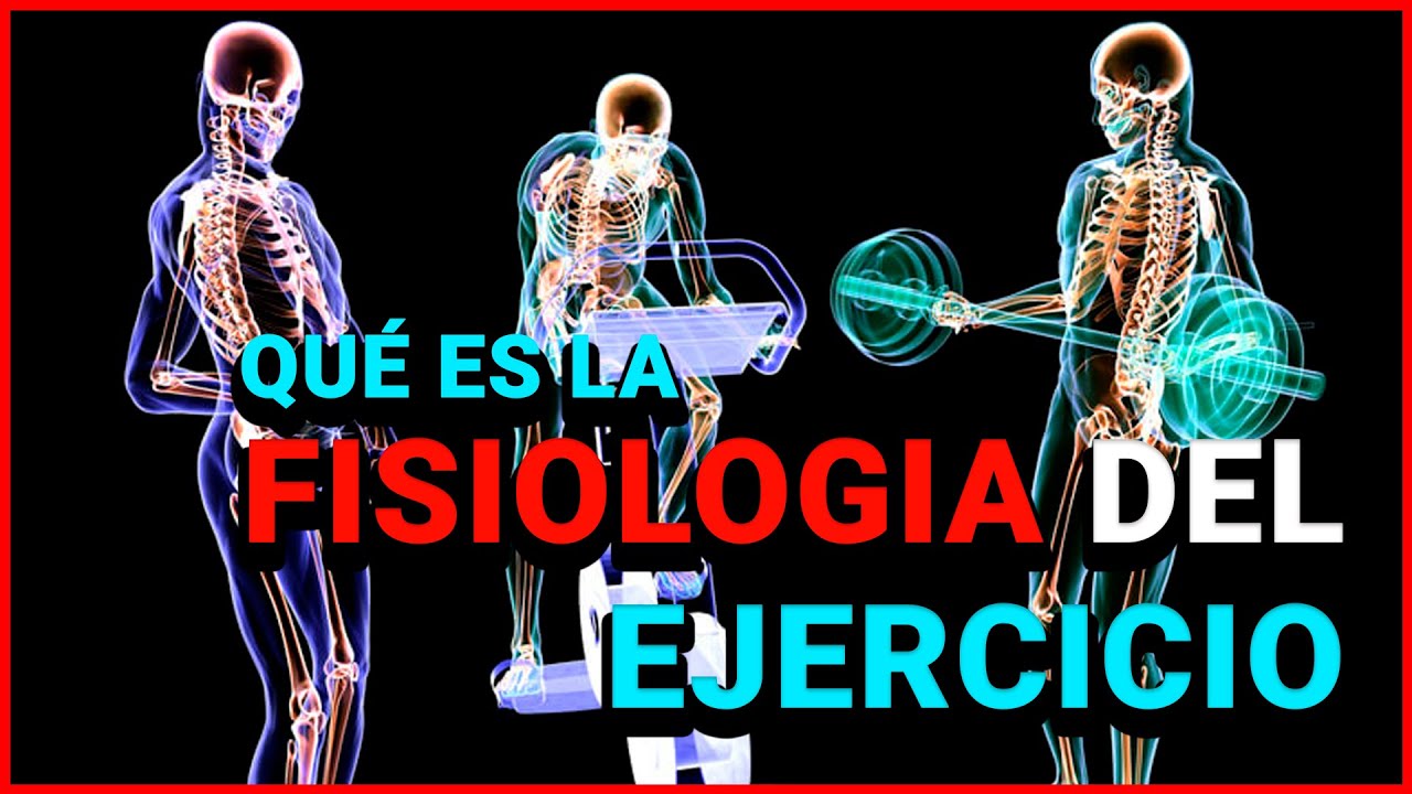 &iquest;Qu&eacute; es la Fisiolog&iacute;a del Ejercicio? Ciencias del Deporte, de la Actividad F&iacute;sica y la Salud