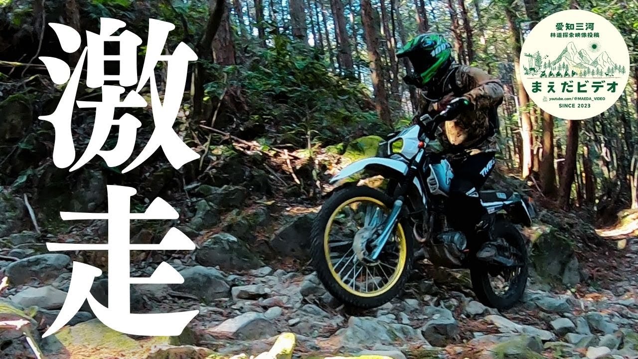 【激走】うえさんと行く修行の山【三河 林道】セロー225 トリッカー