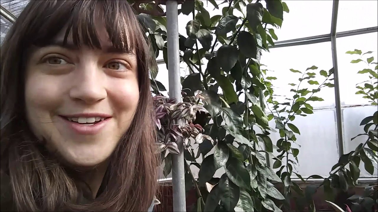 How to Prep a Greenhouse for Over Break + Big Updates