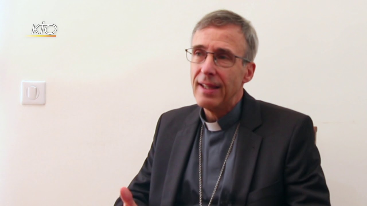 Déclaration des évêques de France contre la PMA - Eclairage de Mgr de Germay