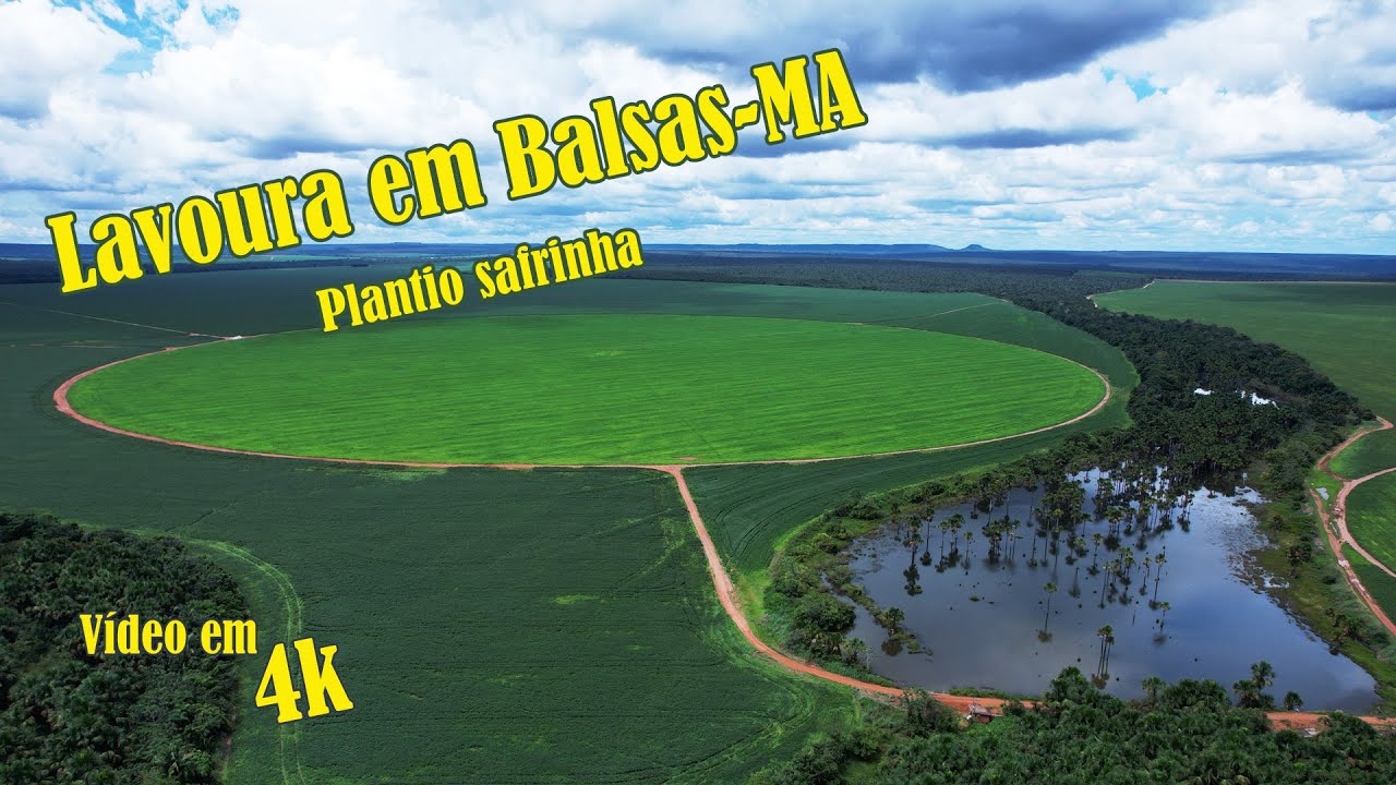 Lavoura em Balsas-MA --- Plantio safrinha