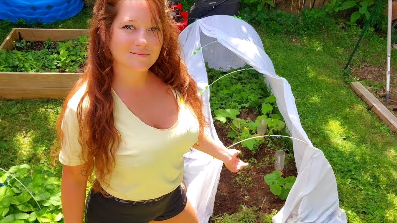 Chits and Giggles / Late Garden Planting