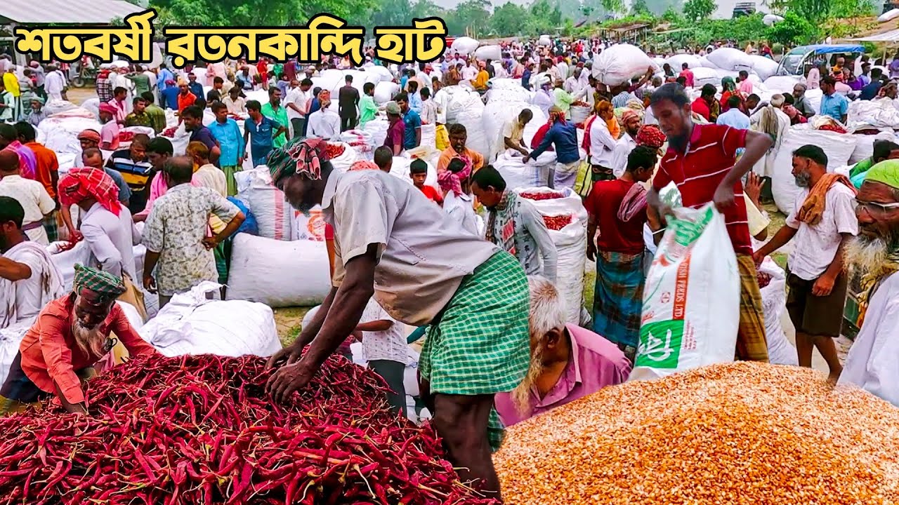 সিরাজগঞ্জের শতবর্ষী রতনকান্দি হাট || @Panorama Documentary
