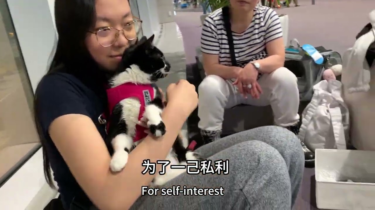 轻轻的我走了，不带走一片云彩。          移民失败，跨国搬家回国养老，