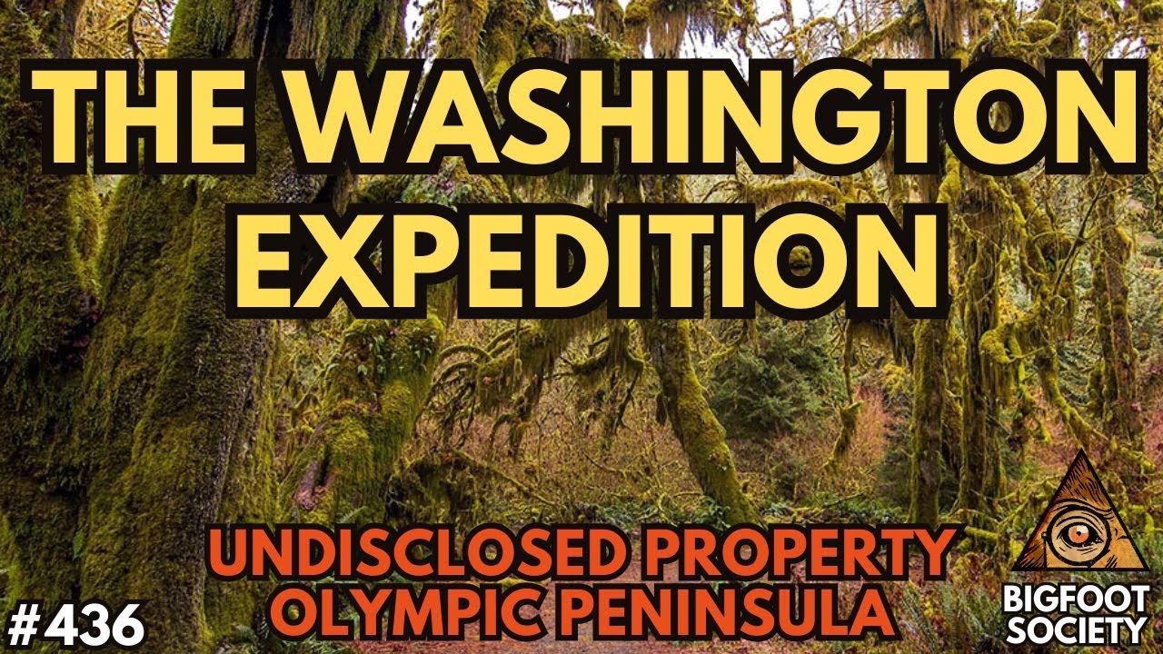 EVENTS OF THE 2023 BFRO WASHINGTON EXPEDITION | Bigfoot Society 436