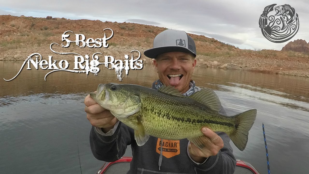 The 5 Best Neko Rig Baits - Largemouth & Smallmouth Bass Fishing