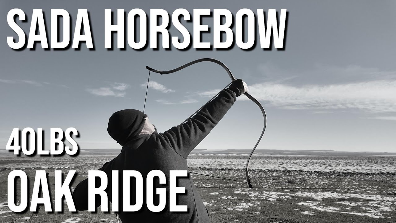 Sada Bow By Oak Ridge íj értékelés @Mussai #2025 #archerylifestyle