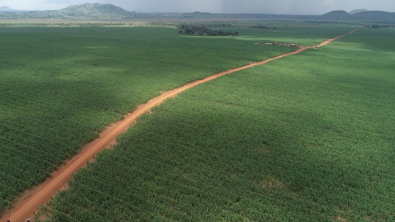 Agro Industrialisation programme documentary (JAPAR 2024 2025)