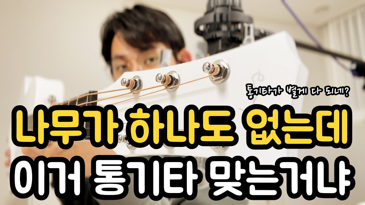 나무가 하나도 없는데 이거 통기타 맞는거냐 / Enya Nova Go SP1 리뷰