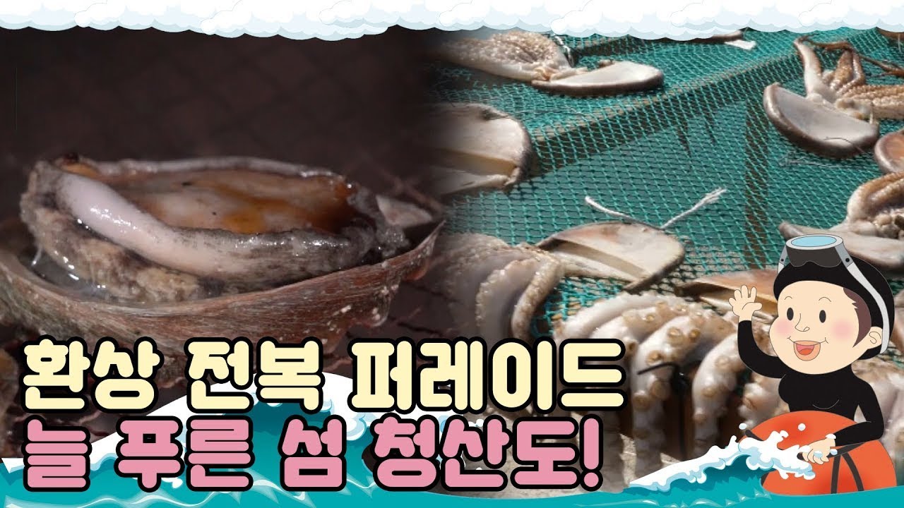 [섬마을 할매🌊 시즌1]  청산도 1편 l 환상 전복 퍼레이드! 눈으로 즐기고 맛으로 즐기는 늘 푸른 섬 청산도!