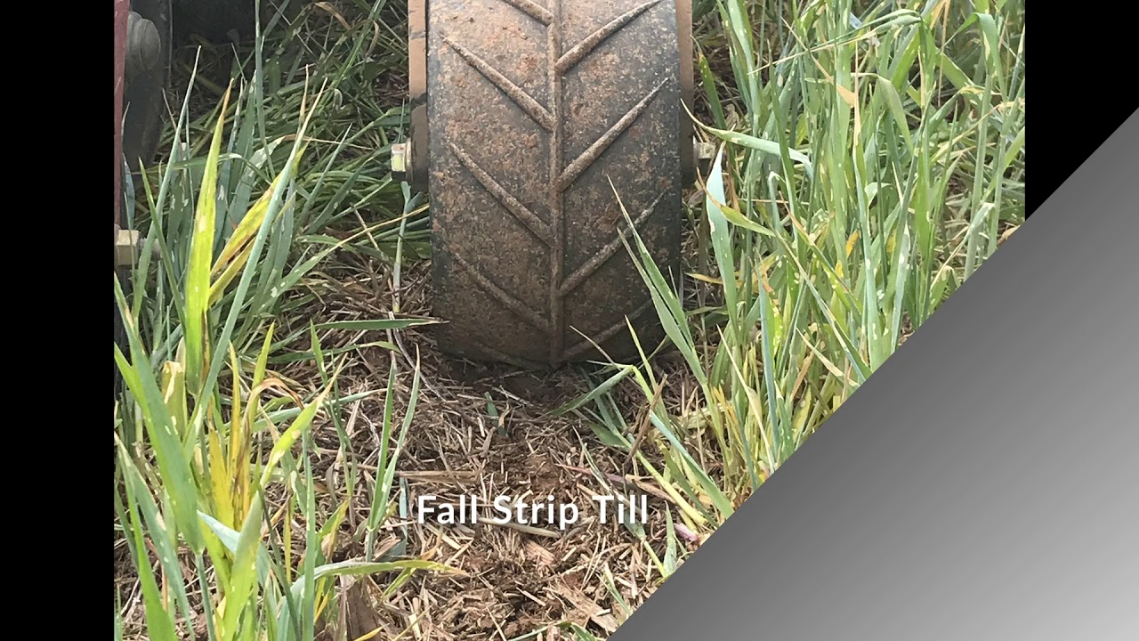 Case IH 2140 with Martin V style closing wheel update running flat 9.5" Spading closing wheel.